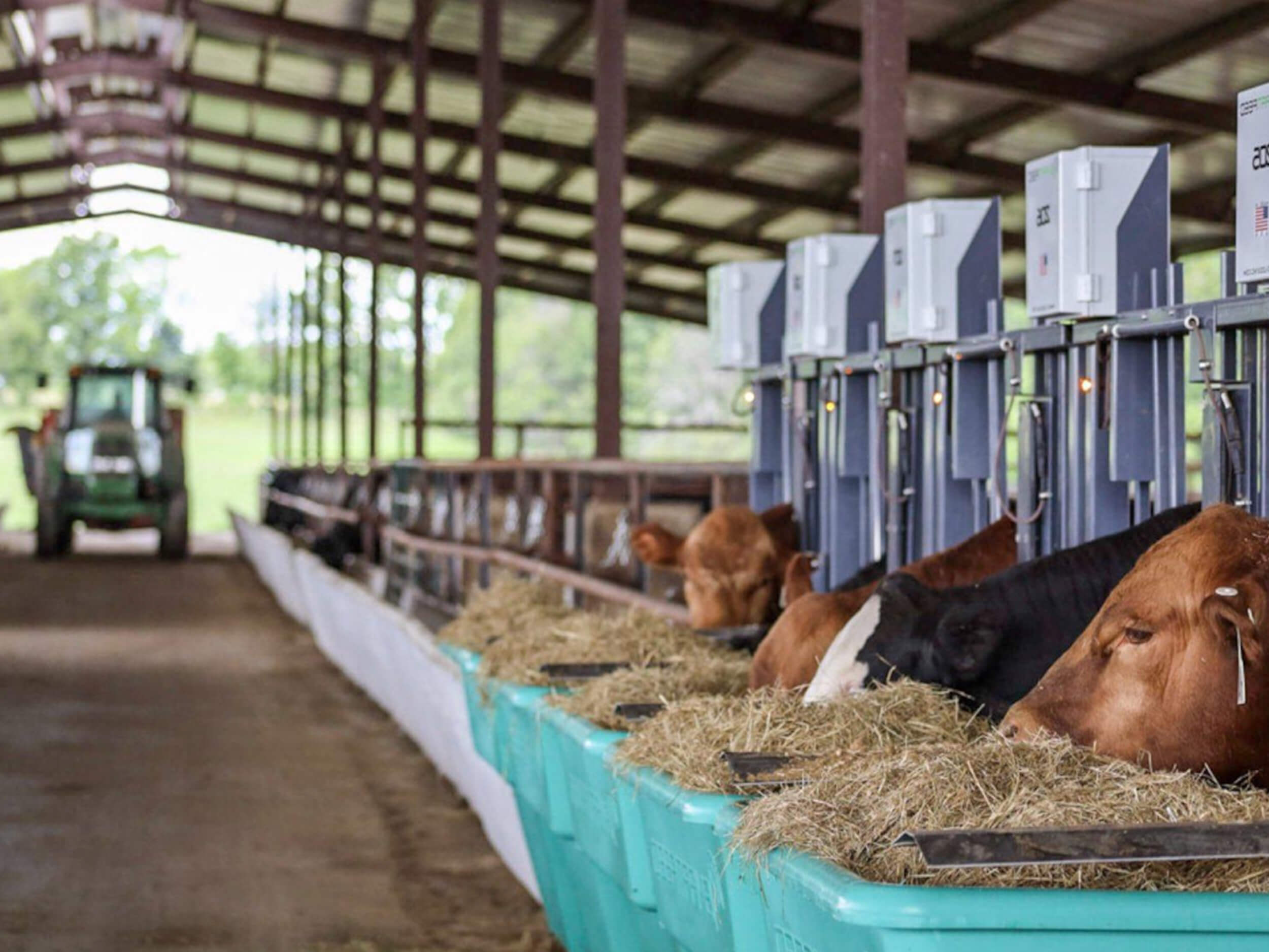 SmartFeed: Individual Cattle Feed Intake System | C-Lock Inc.