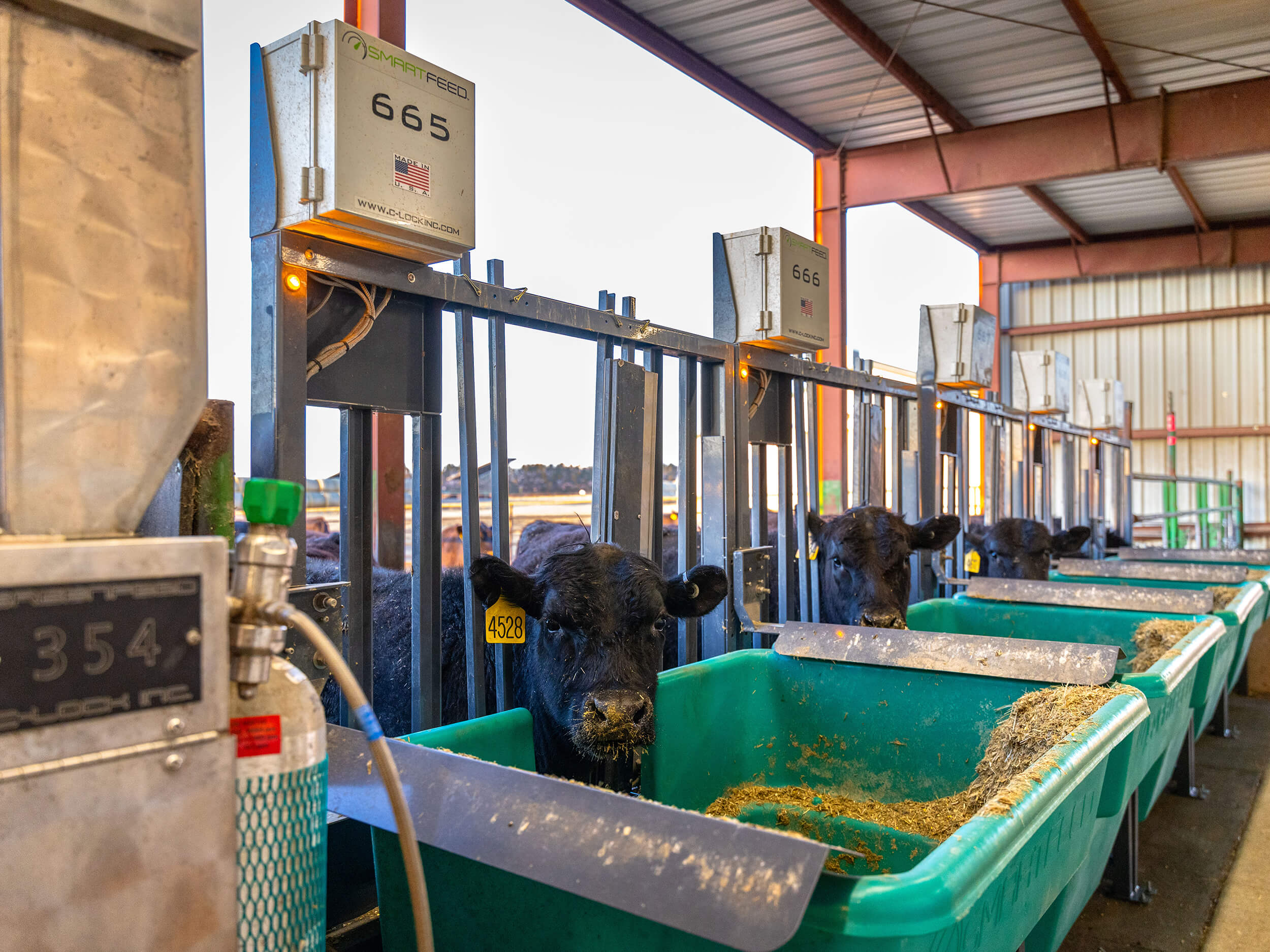Smart Infeed Machine SmartFeed: Individual Cattle Feed Intake System | C-Lock Inc.